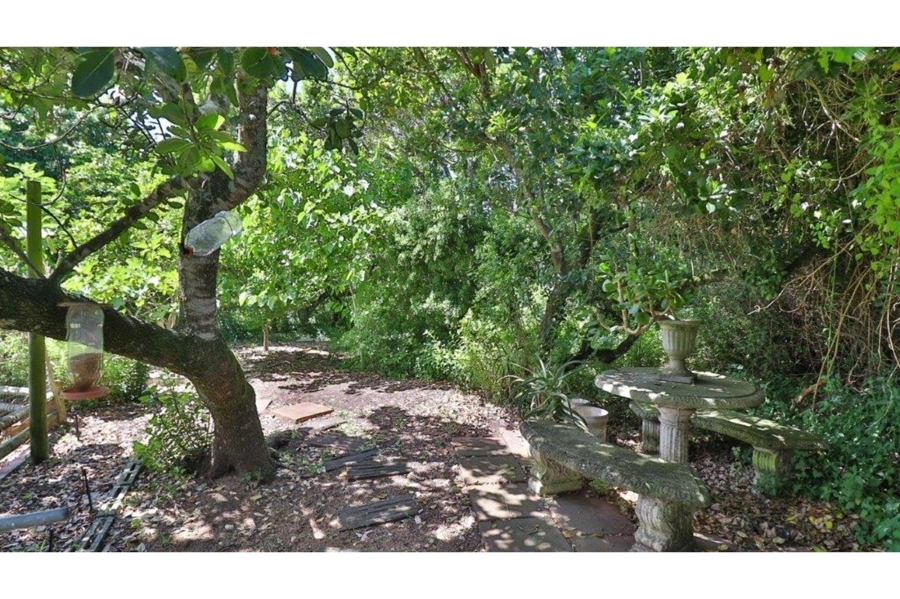 6 Bedroom Property for Sale in Lovemore Park Eastern Cape